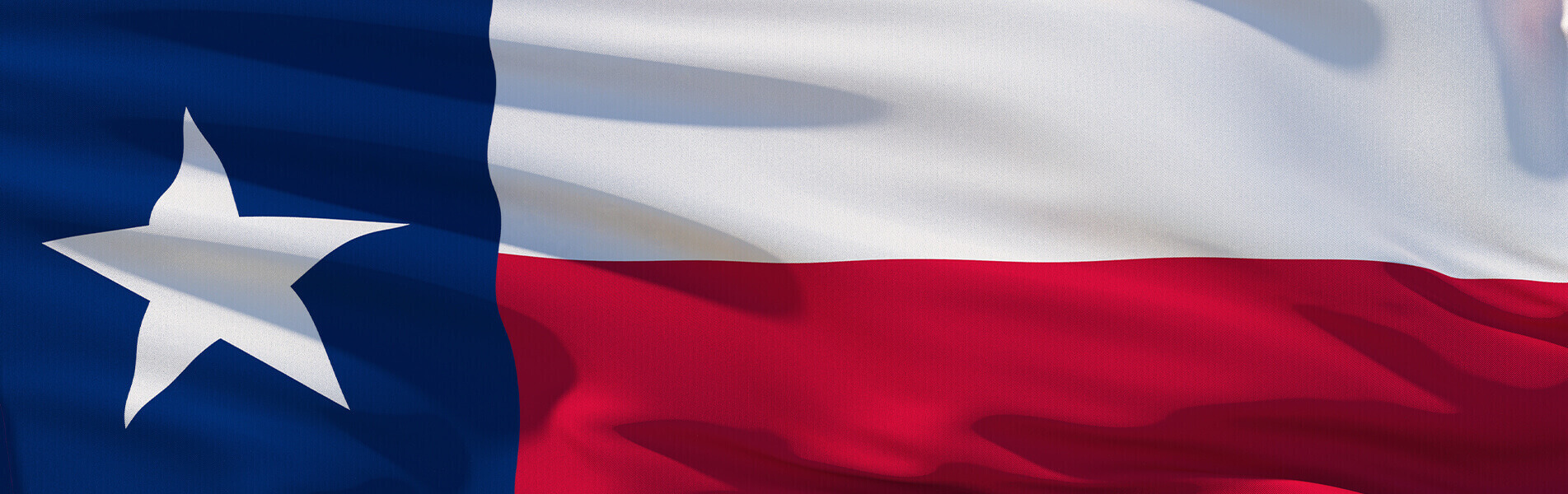 Texas State Flag